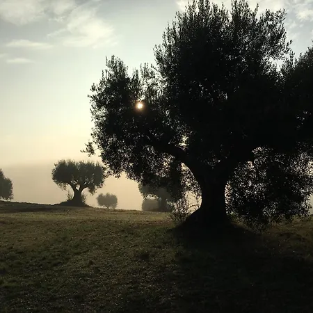 Ancient Charm Retreat With Dream Pool, Private Sauna Whirlpool アパート *