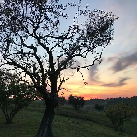 Ancient Charm Retreat With Dream Pool, Private Sauna Whirlpool セニガッリア