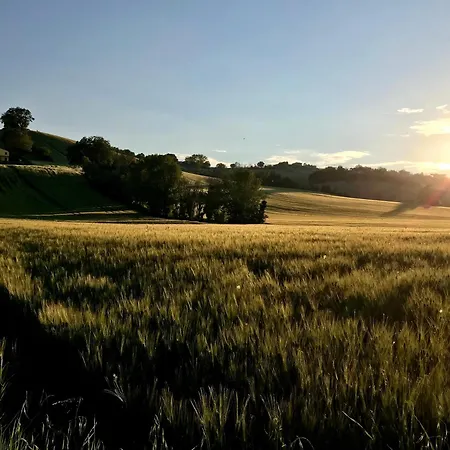 Ancient Charm Retreat With Dream Pool, Private Sauna Whirlpool