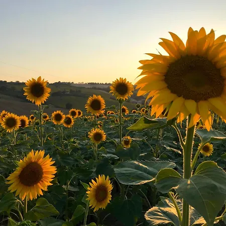 Ancient Charm Retreat With Dream Pool, Private Sauna Whirlpool Apartment