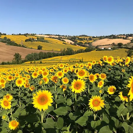 Ancient Charm Retreat With Dream Pool, Private Sauna Whirlpool Apartment Senigallia