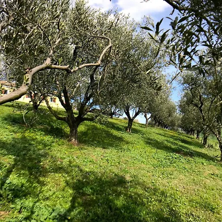 Ancient Charm Retreat With Dream Pool, Private Sauna Whirlpool Apartment *