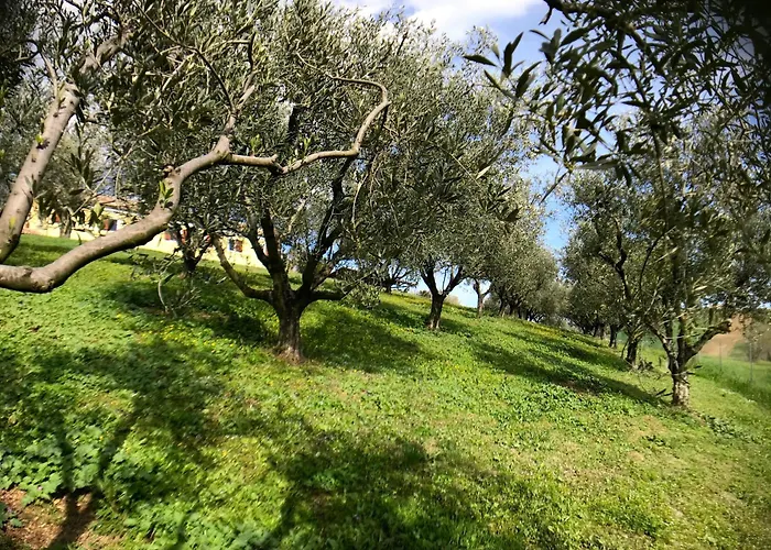 Ancient Charm Retreat With Dream Pool, Private Sauna Whirlpool Apartment *